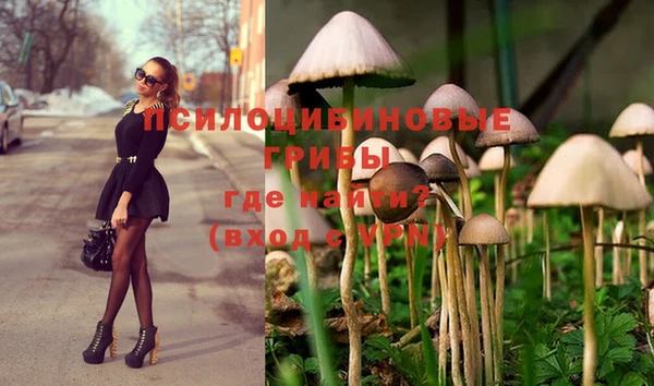 мдма Магас