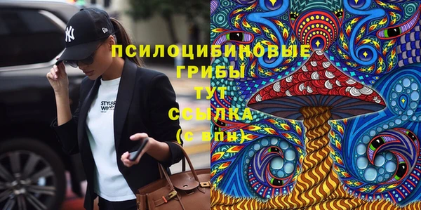 apvp Майский