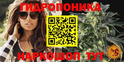 гидра Комсомольск-на-Амуре