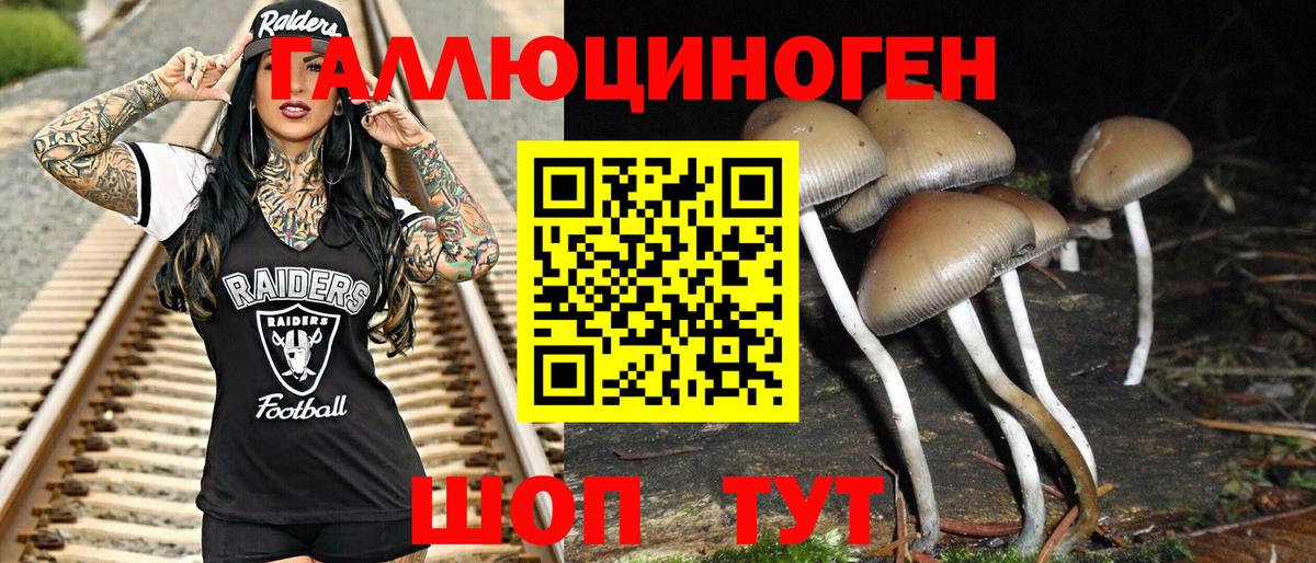 Галлюциногенные грибы Psilocybine cubensis Солнечногорск