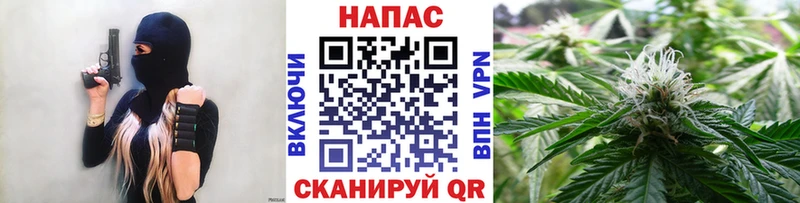Бошки Шишки VHQ  Солнечногорск 